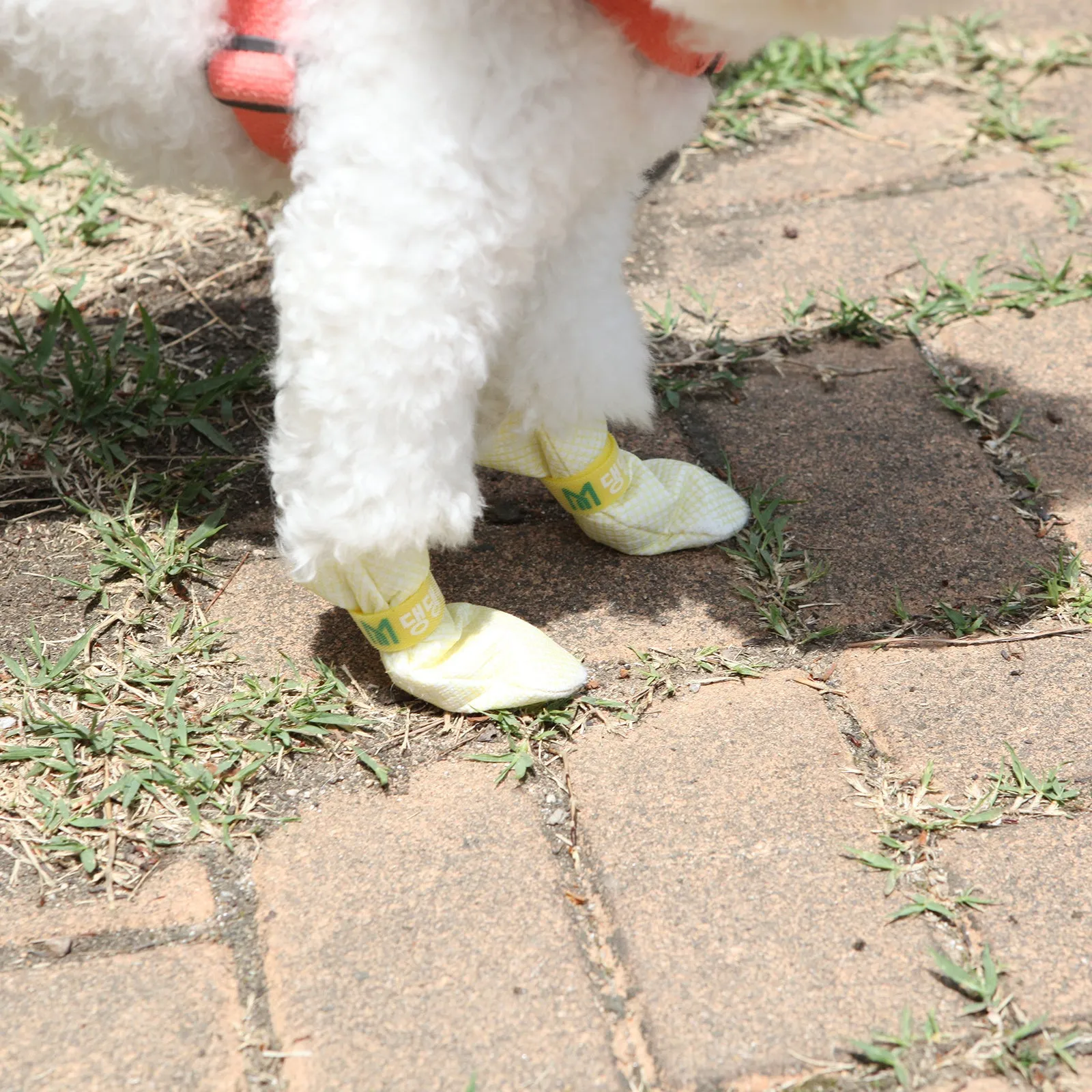 28pc Waterproof Anti-Slip Breathable Dog Shoes L Daeng Daeng