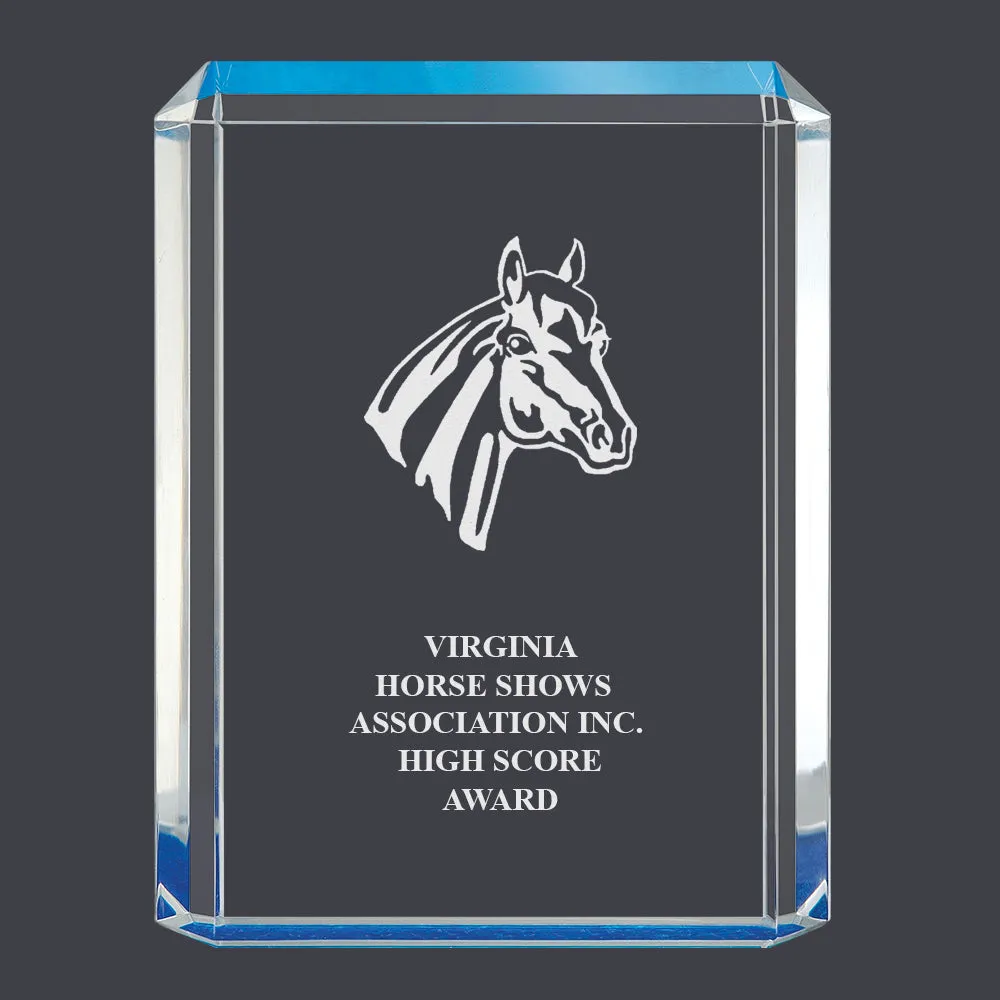 4-3/4" x 6-1/4" Custom Engraved Blue Shimmer Acrylic Award