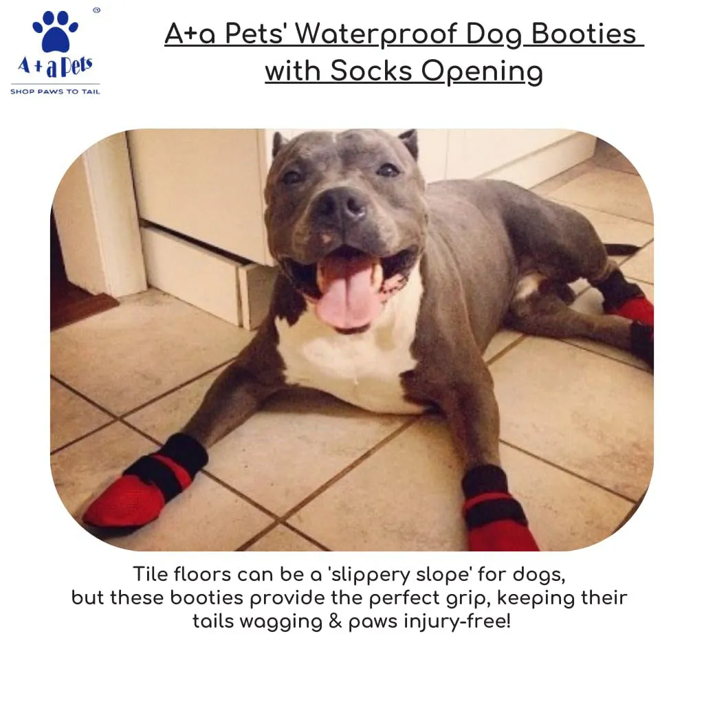 A a Pets' Premium Dog Boots for All-Weather Adventures - Blue