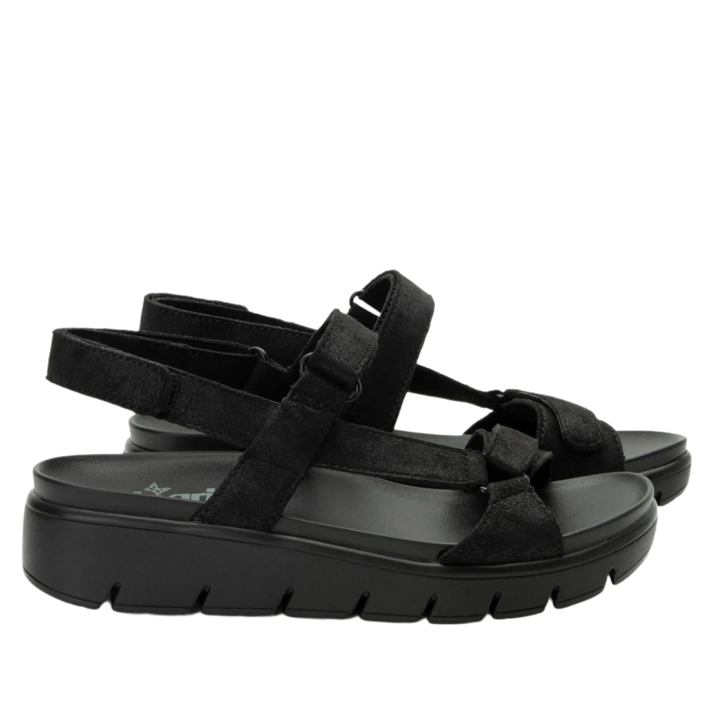 Alegria Women's Henna They Call Me Mellow Sandals - Black