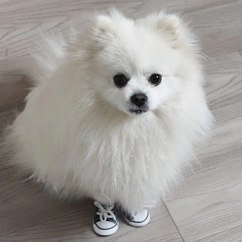 AnniePaw 4 Pcs Denim Dog Shoes - Waterproof Breathable Sneakers