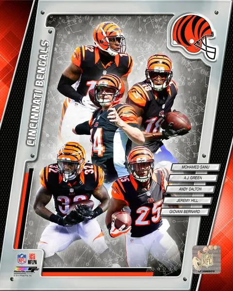 Cincinnati Bengals 2014 Team Composite