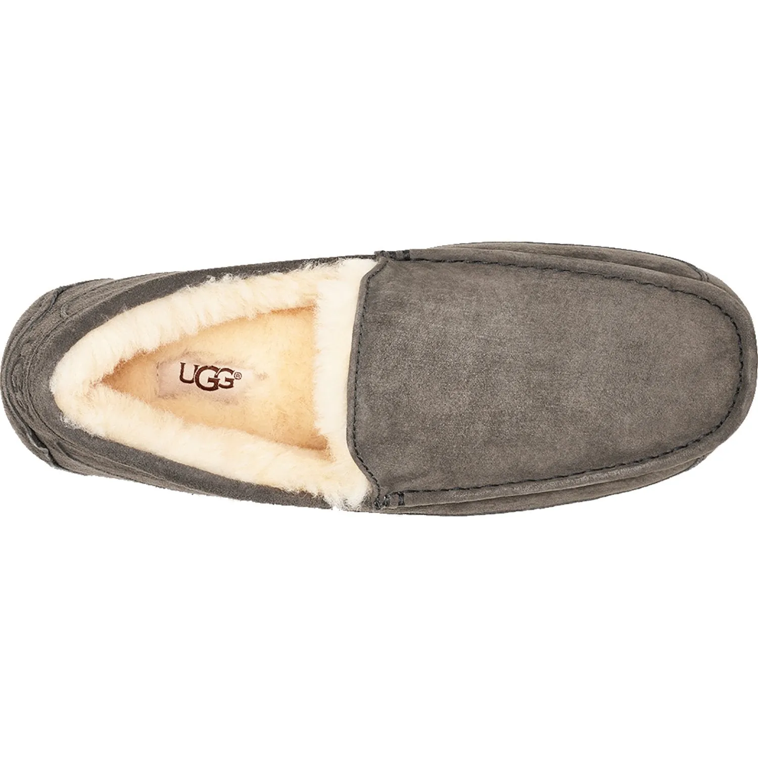 Men's UGG Ascot Charcoal Suede