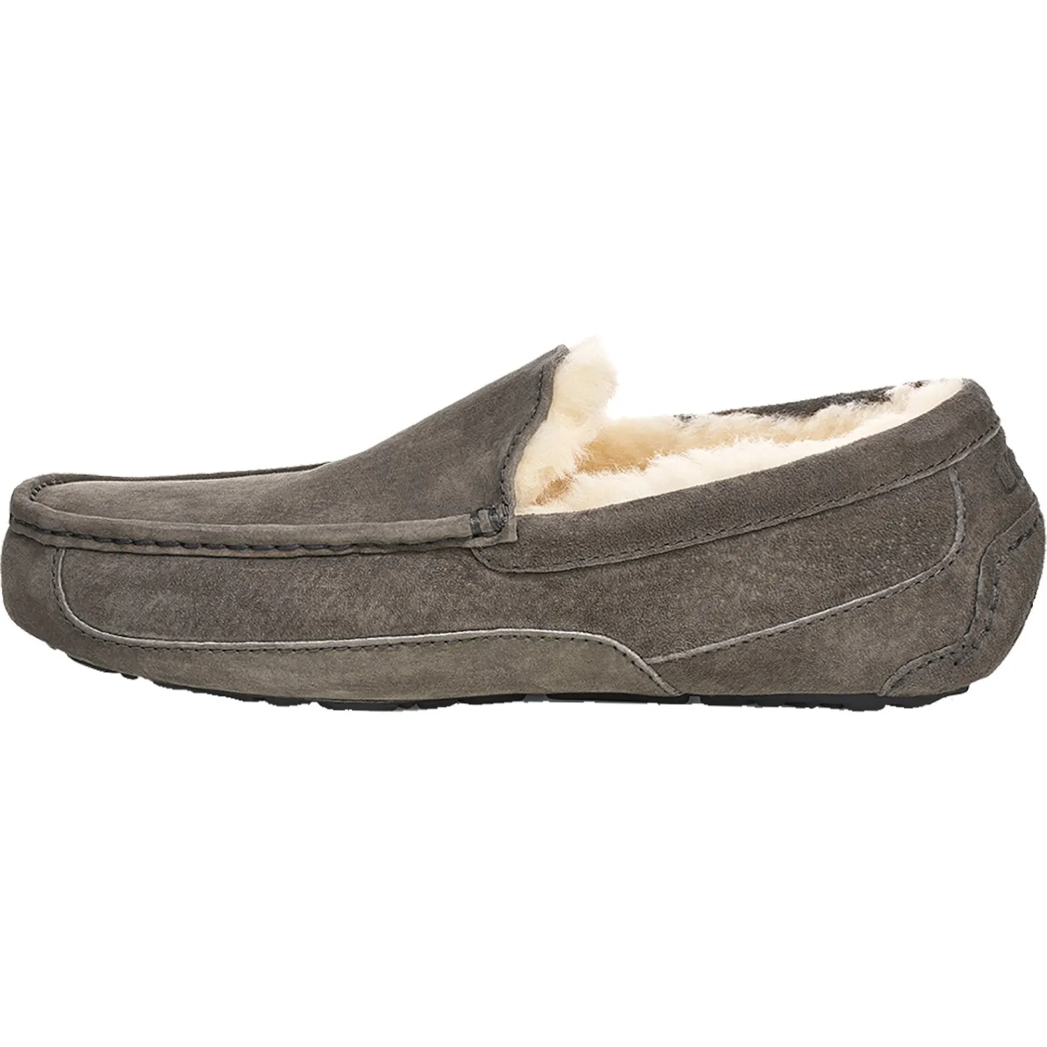 Men's UGG Ascot Charcoal Suede