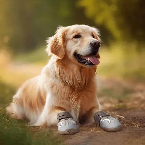 Mesh Breathable Dog Shoes