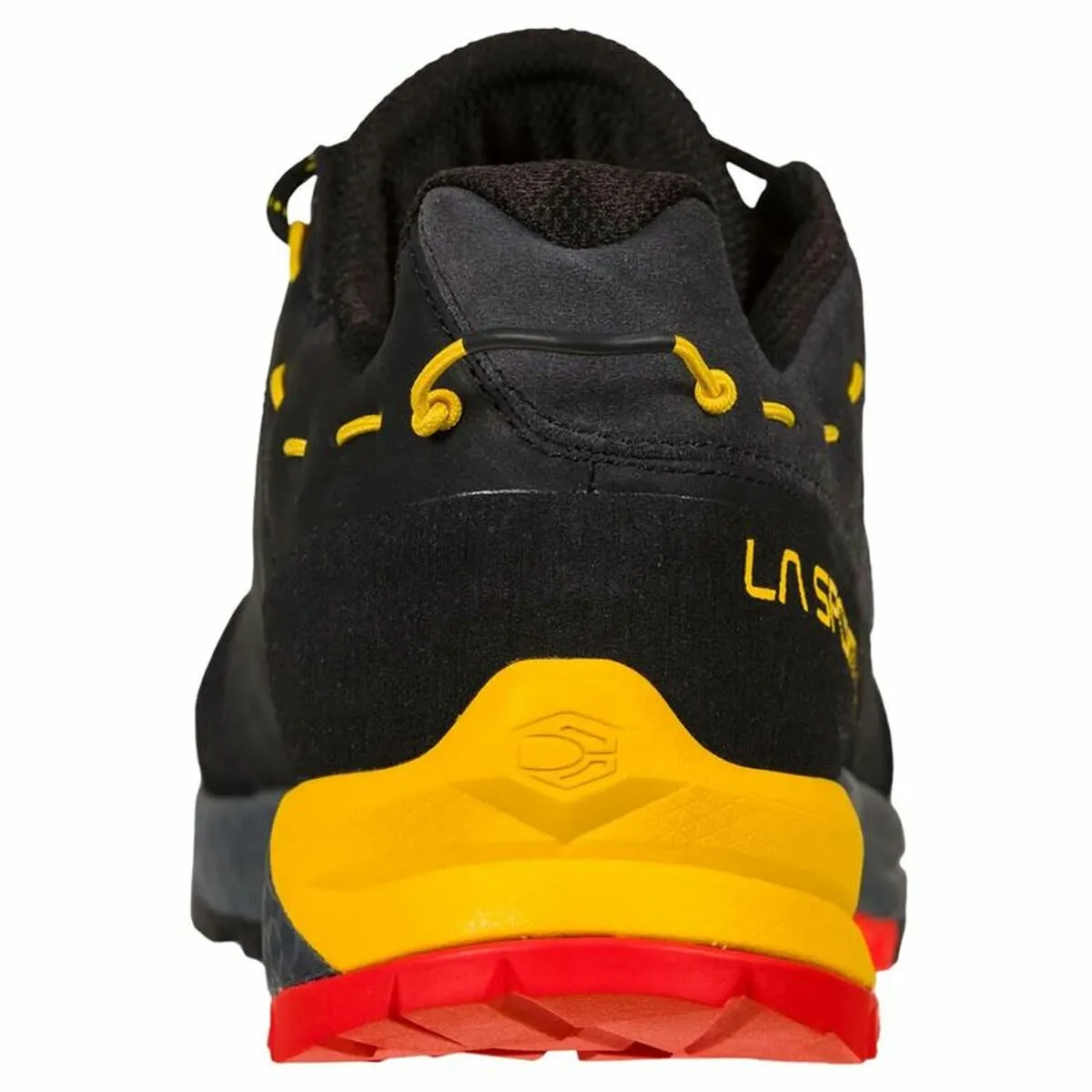 Running Shoes for Adults La Sportiva Tx Guide