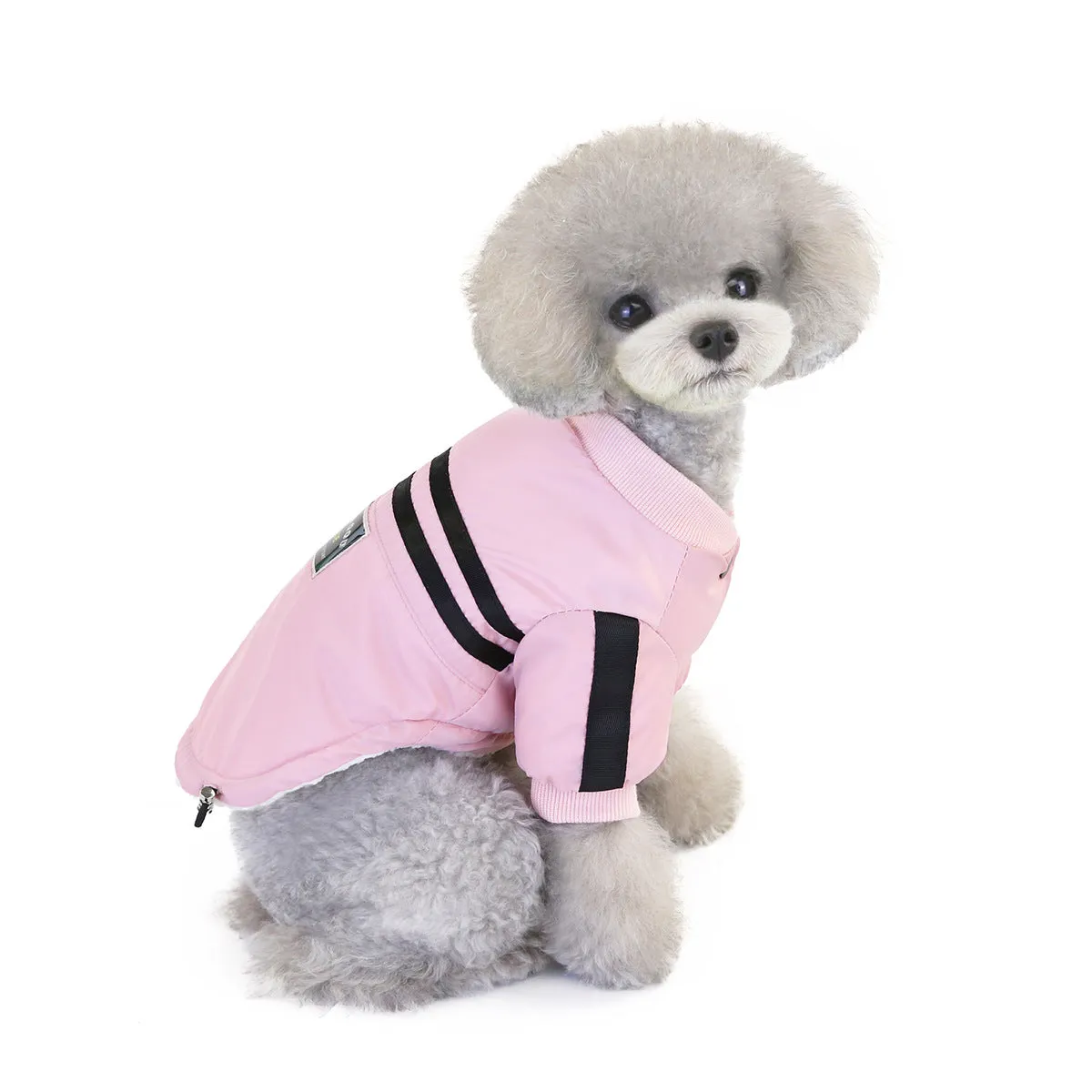 Warm pet clothing for winter windproof sports