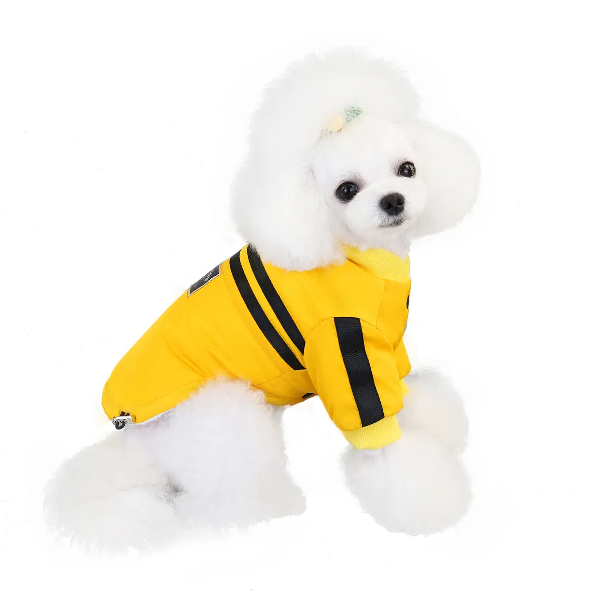 Warm pet clothing for winter windproof sports