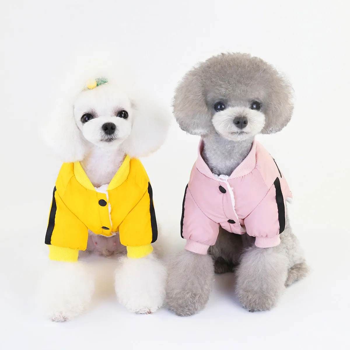 Warm pet clothing for winter windproof sports